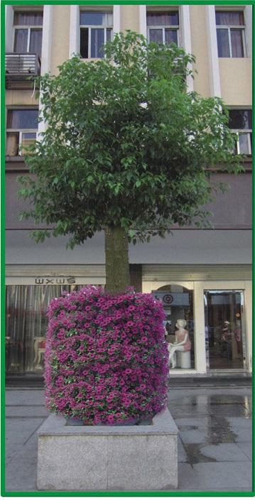 Vertical Gardening Wall Containers Vertical Gardening Wall Containers