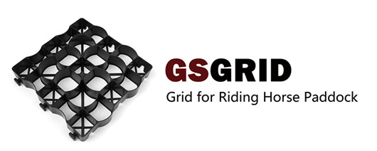 GSGRID GSGRID