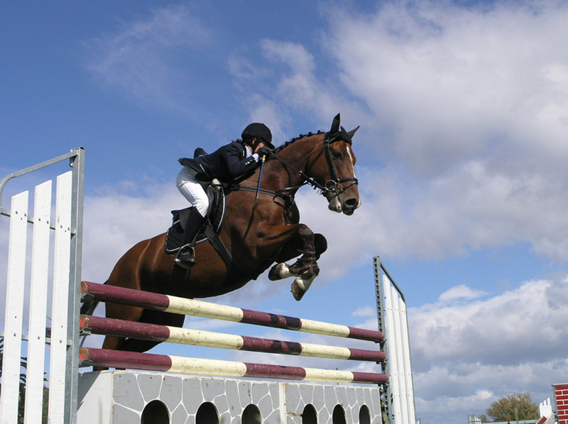 Racecourse Plastic Grid Flooring