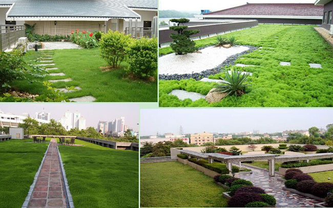 Plastic Water Tray for Green Roof