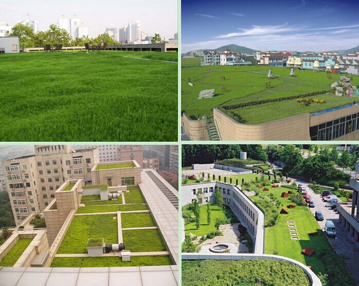 Drainage Systems For Roof Garden Drainage Systems For Roof Garden