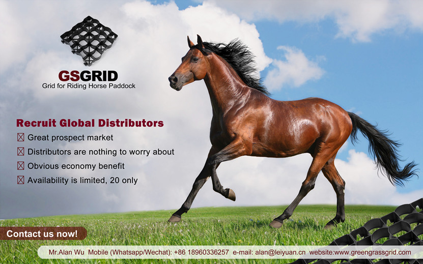 Recruit Global Distributors of Horse Racing Plastic Floor Grid