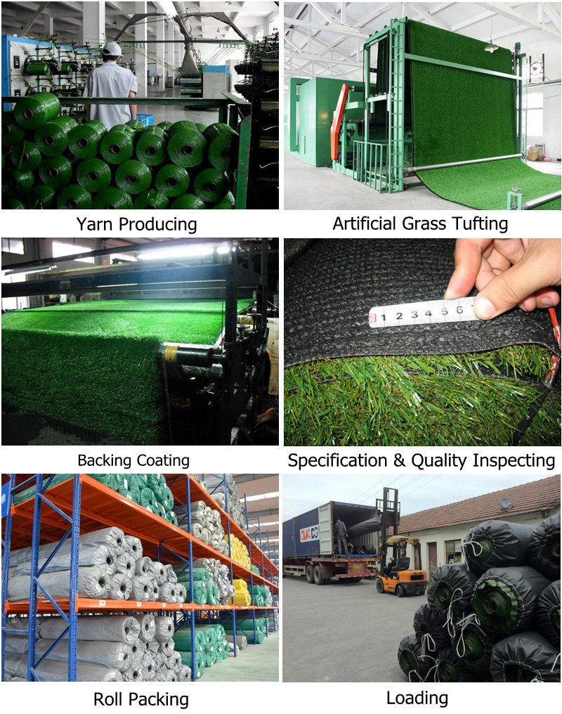 Easy Maintenance Cheap Turf production process Easy Maintenance Cheap Turf production process