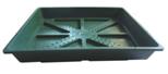 Plant Plastic Container Plant Plastic Container