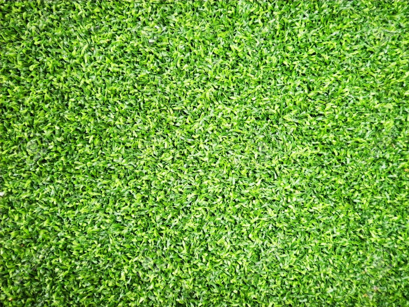 Decorative Grass Artificial