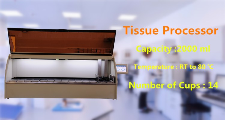 Tissue processor 
