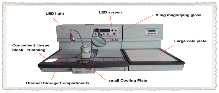 tissue embedding center