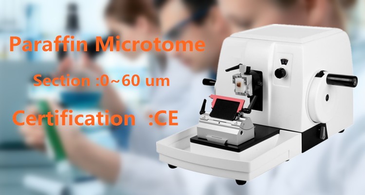 microtome 
