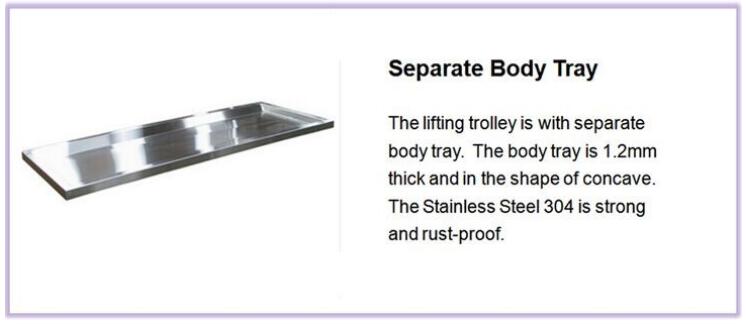 body tray body tray