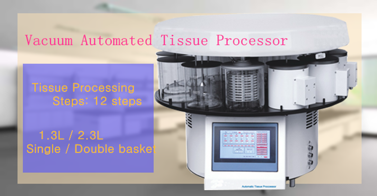 tissue processor