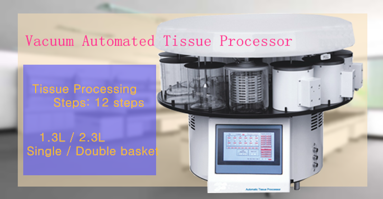 tissue processor tissue processor
