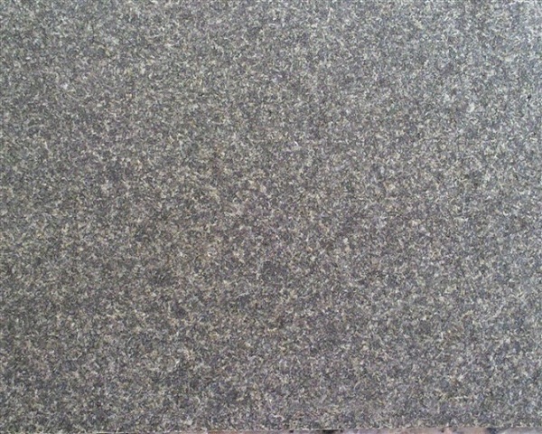 Shanxi Black Shanxi Black
