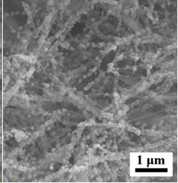 Carbon Nanotubes and Nanoparticles Composites Carbon Nanotubes and Nanoparticles Composites