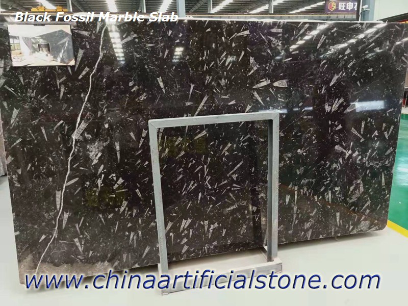 Morocco Black Fossil Marble Slabs Morocco Black Fossil Marble Slabs