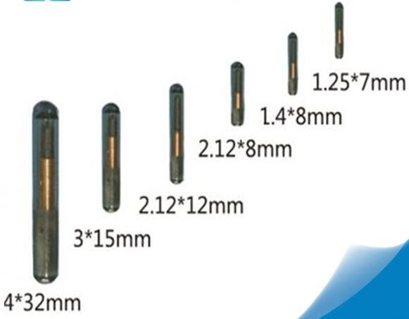 RFID Animal Tag RFID Animal Tag