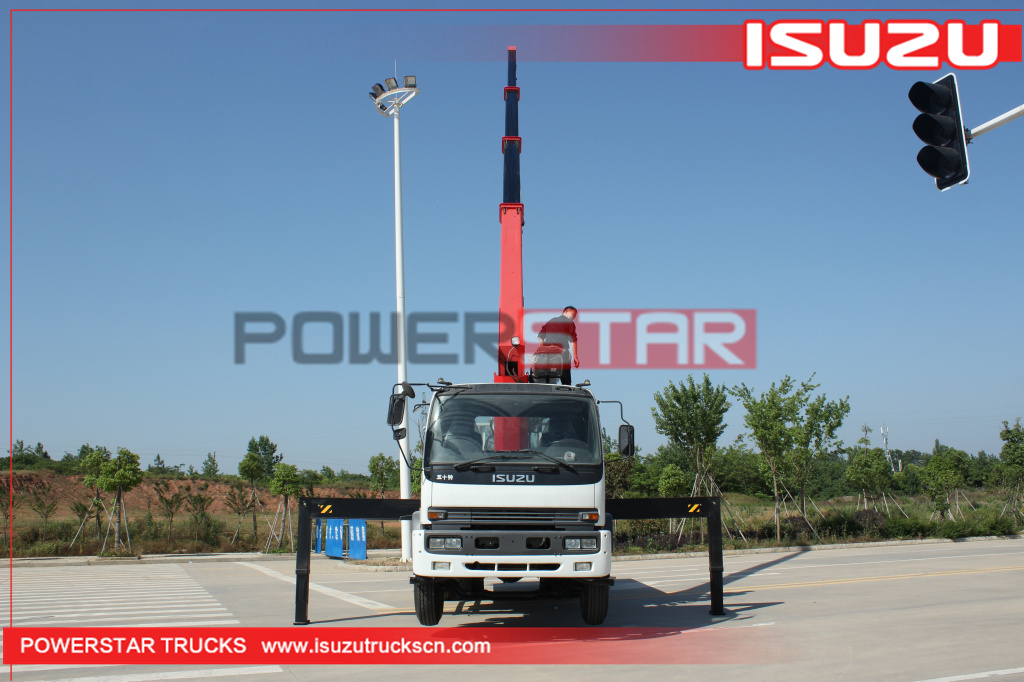 Philippines Custom Isuzu FTR Cargo Truck with Palfinger Telescopic Crane for sale Philippines Custom Isuzu FTR Cargo Truck with Palfinger Telescopic Crane for sale