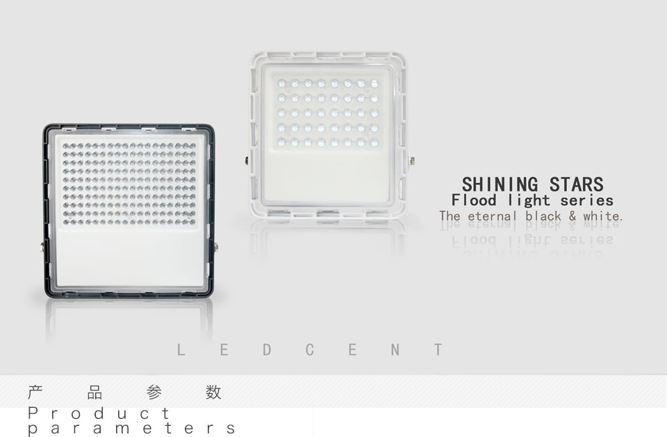 30W LED flood light