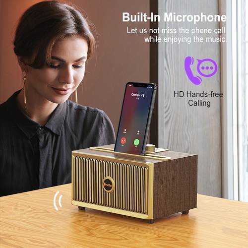 V6 Bluetooth Speaker With FM Radio