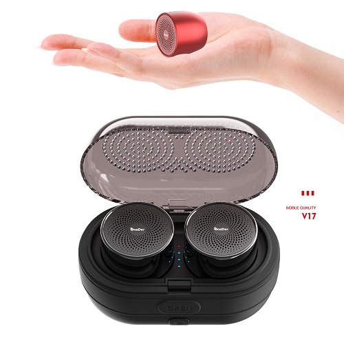 Portable Wireless Speaker