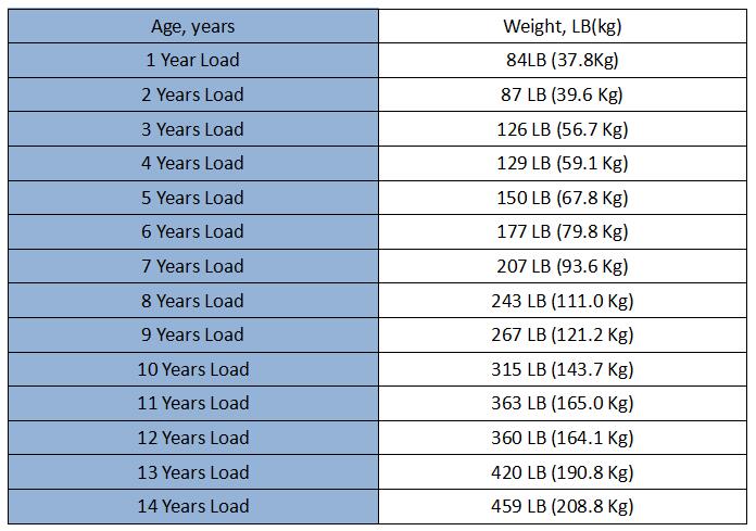 ASTM F963 Toy test weight 