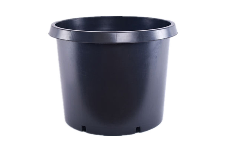 gallon pot