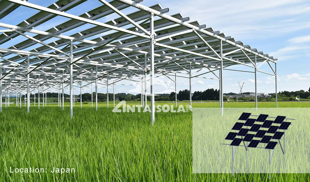 Antaisolar Agricultural Farmland Mounting System