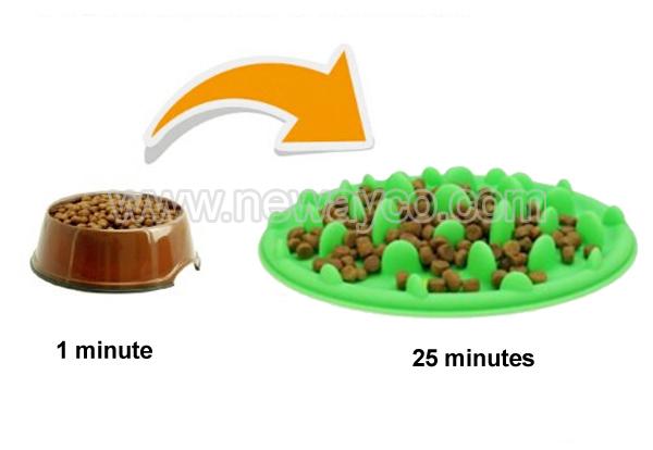 Dog bowl sizes for your choice