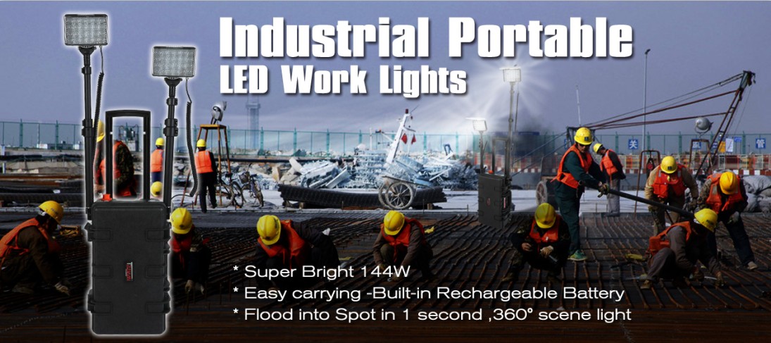 Rugged Area Lighting System