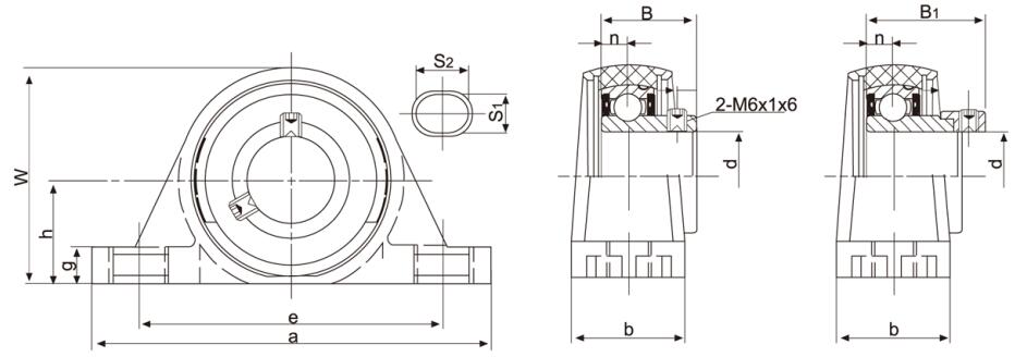 Thermoplastic Housing With BEARING INSERTS TP-SSAPY205-16