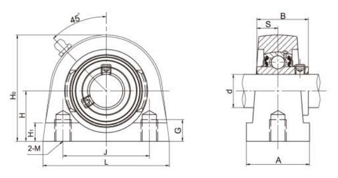 UCPG210 Tapped Base Pillow Block Bearing Housing