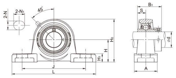 Mounted Bearing Units NAP206