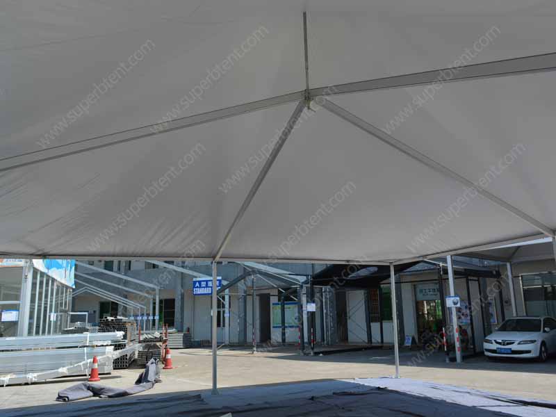 Canopy party tent