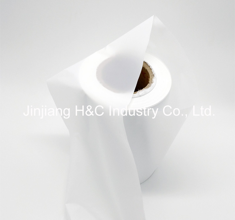 Backsheet Bottom PE Film Backsheet Bottom PE Film