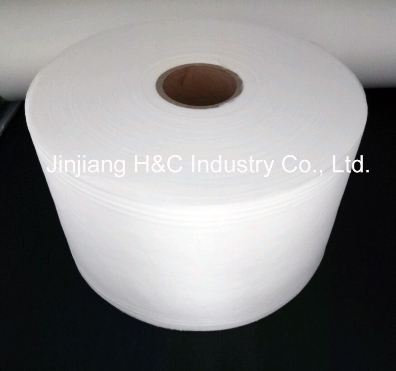 Hydrophilic Non woven