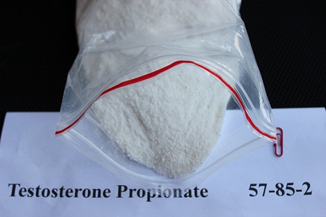 Testosterone Propionate