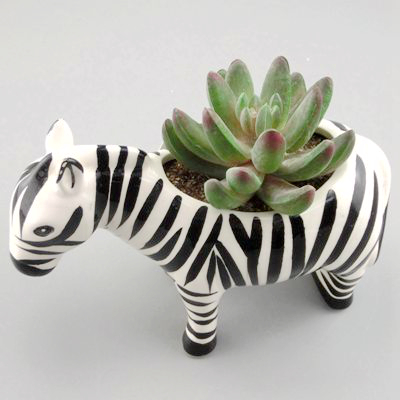 3 inch ceramic plant pots 3 inch ceramic plant pots