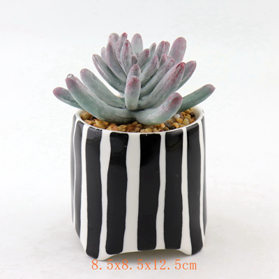 Mini White and Black Ceramic Herb Planter Mini White and Black Ceramic Herb Planter
