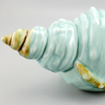 pottery shells pottery shells