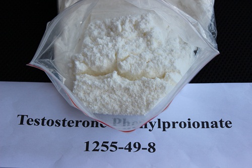 Testosterone Phenylpropionate