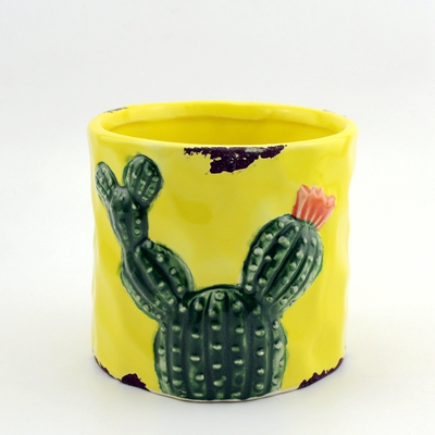 Yellow Garden Cactus Planters