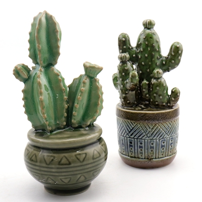 Ceramic Cactus Ikea