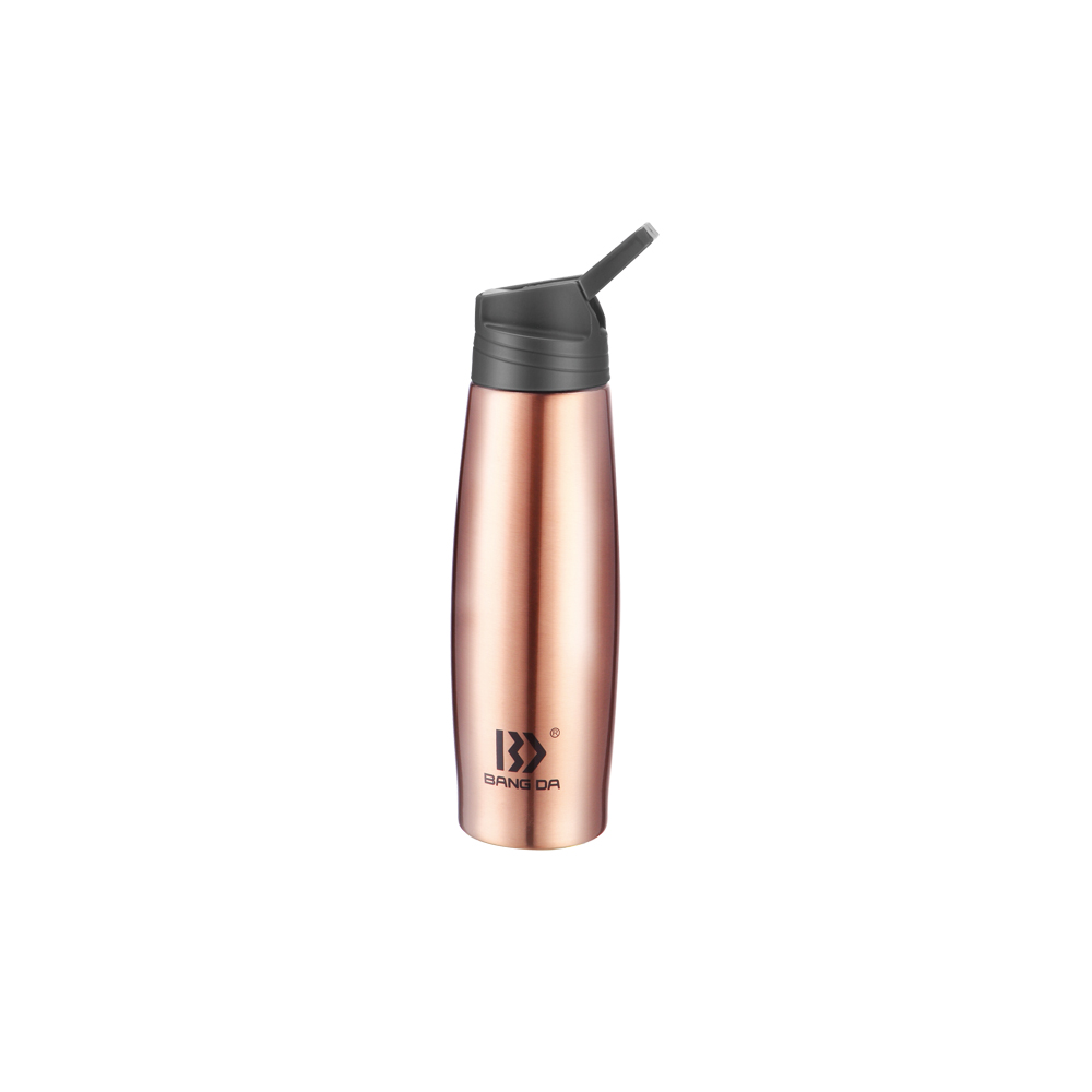 Stainless Steel Vacuum bottle with straw Stainless Steel Vacuum bottle with straw