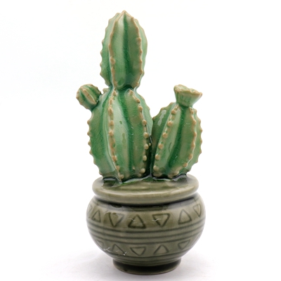 Cactus Plant Decor