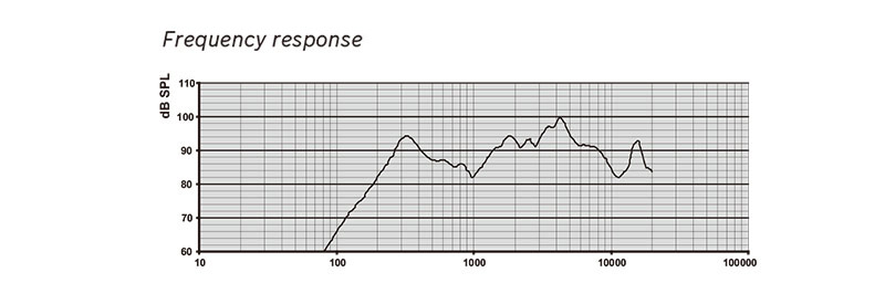 public voice system