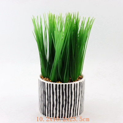 Square White Ceramic Planter Resellers Square White Ceramic Planter Resellers