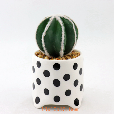 Low Price Ceramic Cactus Succulent Planter Low Price Ceramic Cactus Succulent Planter