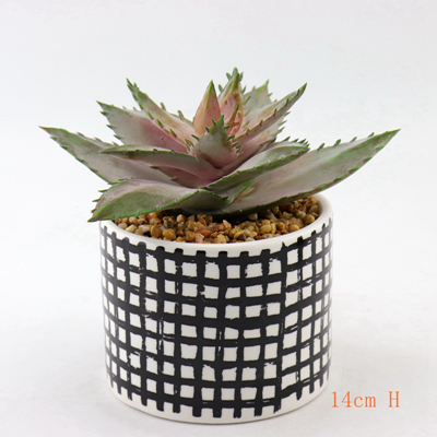 4 Inch Planter 4 Inch Planter