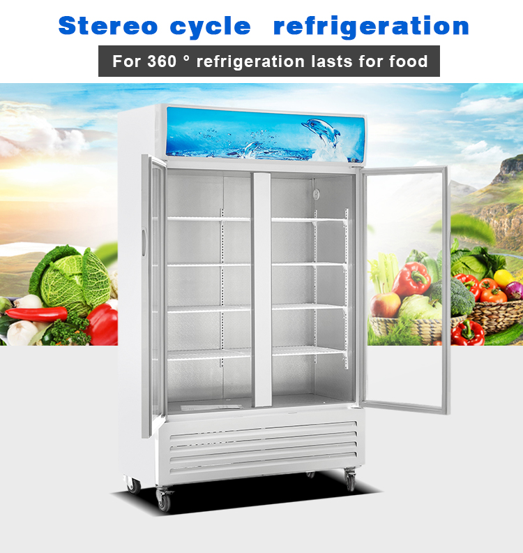 Beverage refrigerator
