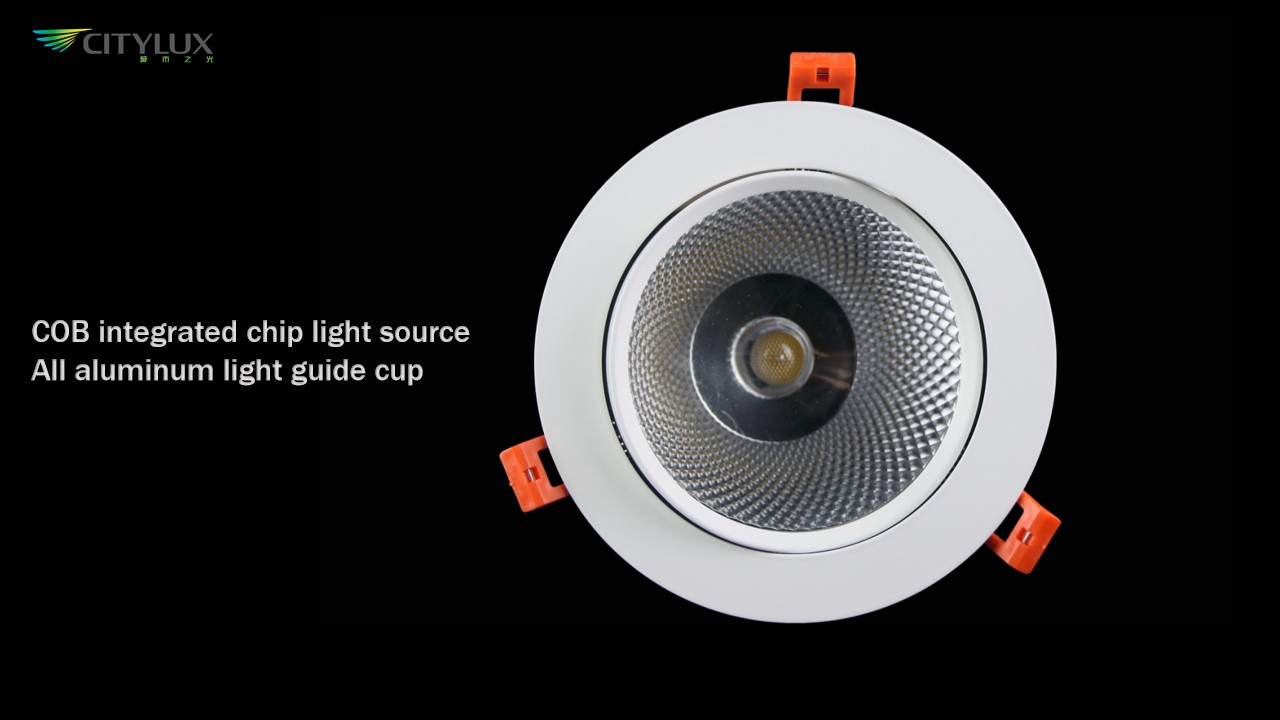 LED Down Light Surface Mount