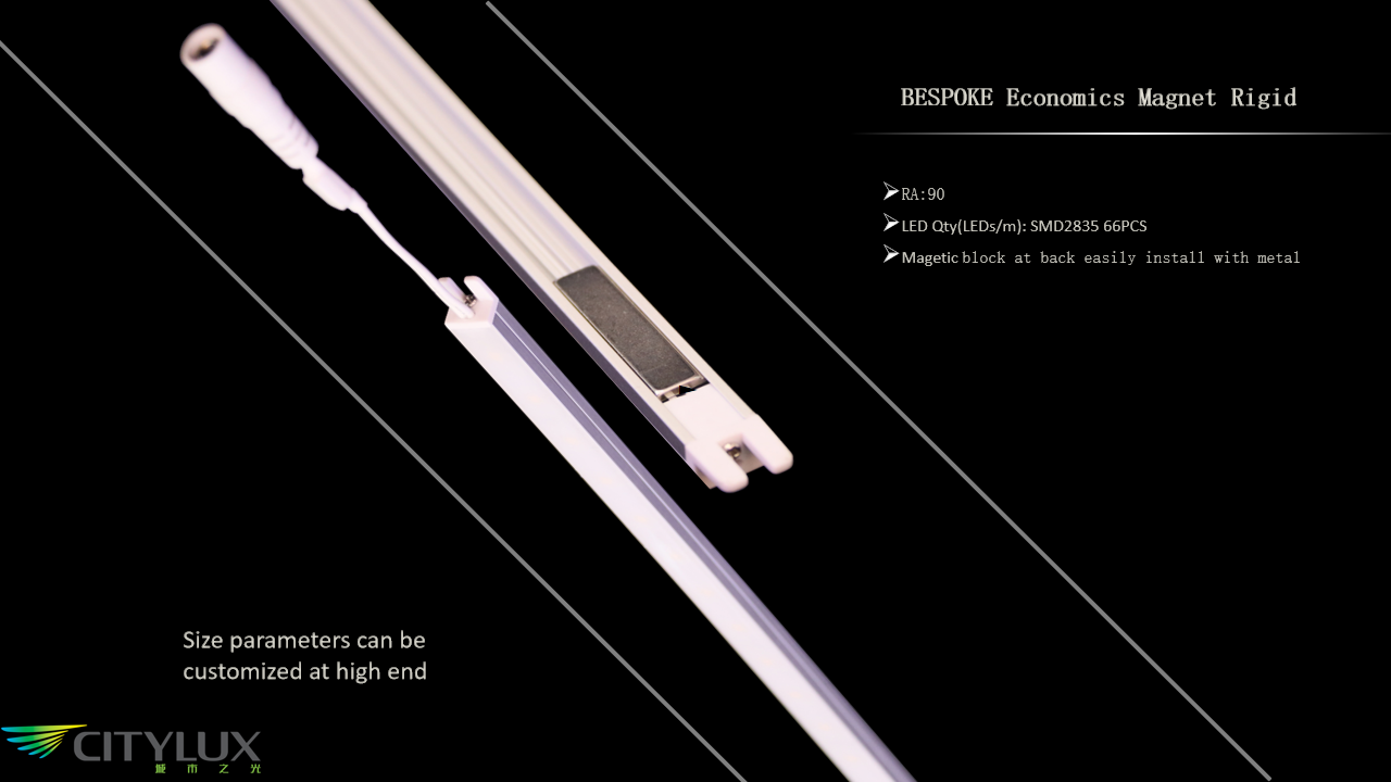 Economics LED Magnet Rigid Economics LED Magnet Rigid
